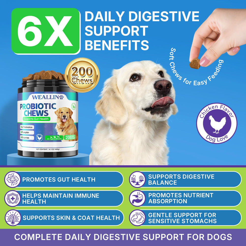 WEALLIN probióticos para perros gomitas sabor pollo, fácil de administrar para la digestión.
