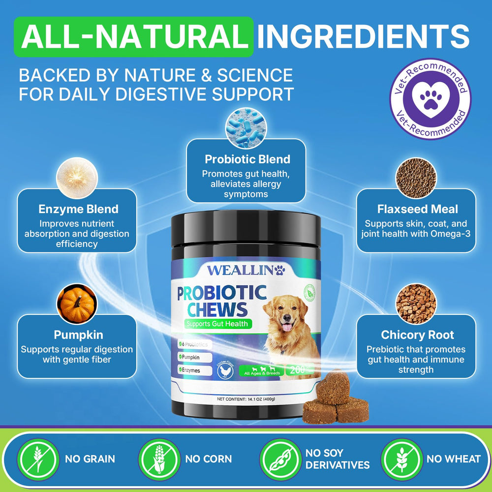 WEALLIN probióticos para perros equilibrio intestinal y mejor absorción de nutrientes.