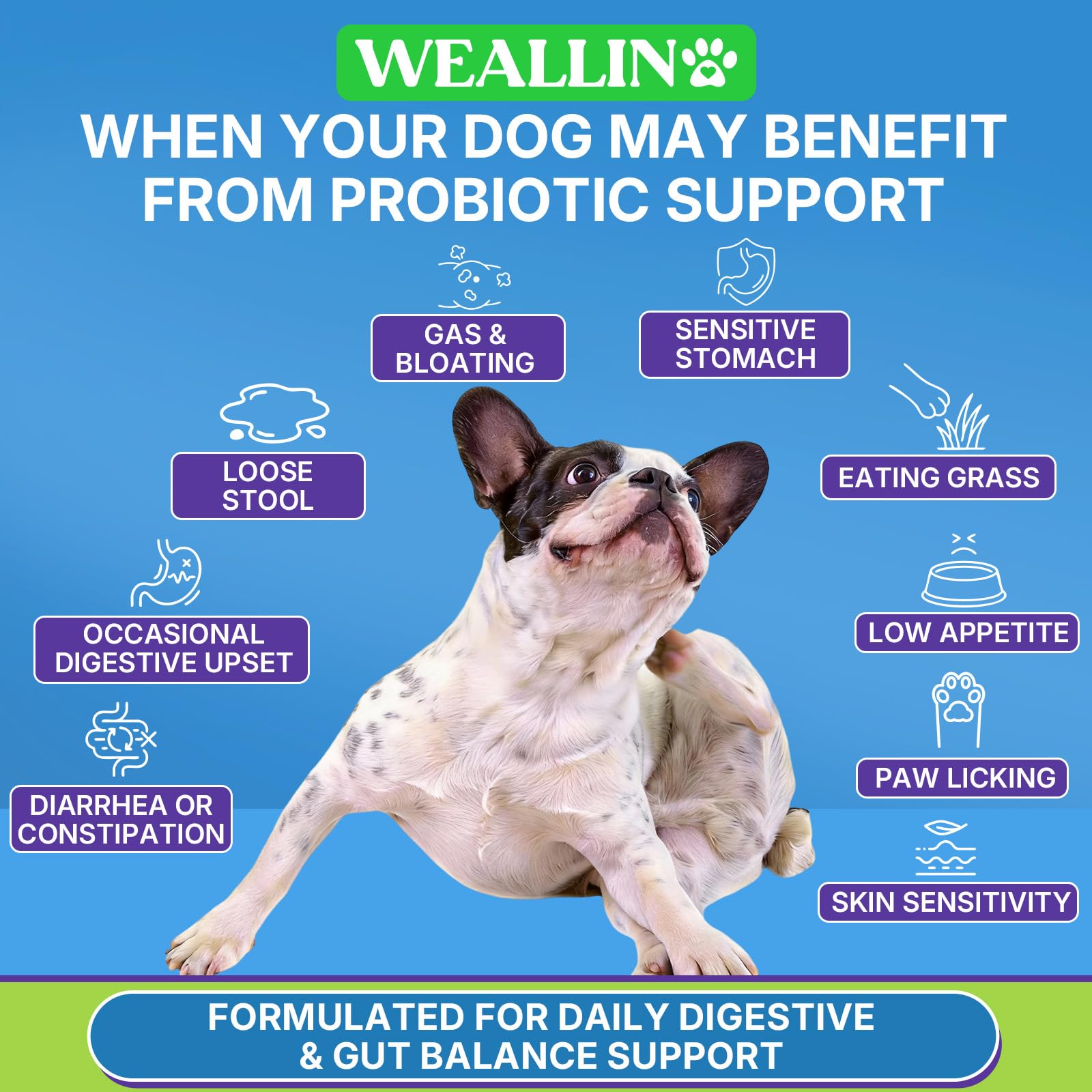 WEALLIN probióticos para perros gomitas para piel saludable y menor picor.