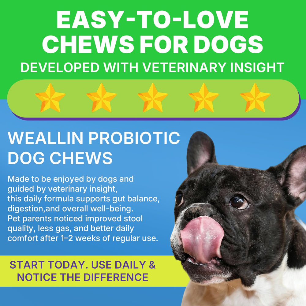WEALLIN probióticos para perros sabor pollo, gomitas masticables para una ingesta agradable.