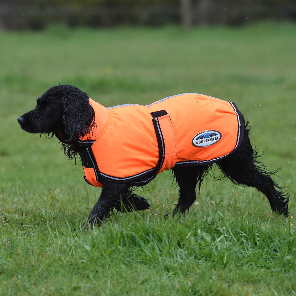 WeatherBeeta ComFiTec Reflective Parka banda elásticas para piernas: ajuste estable