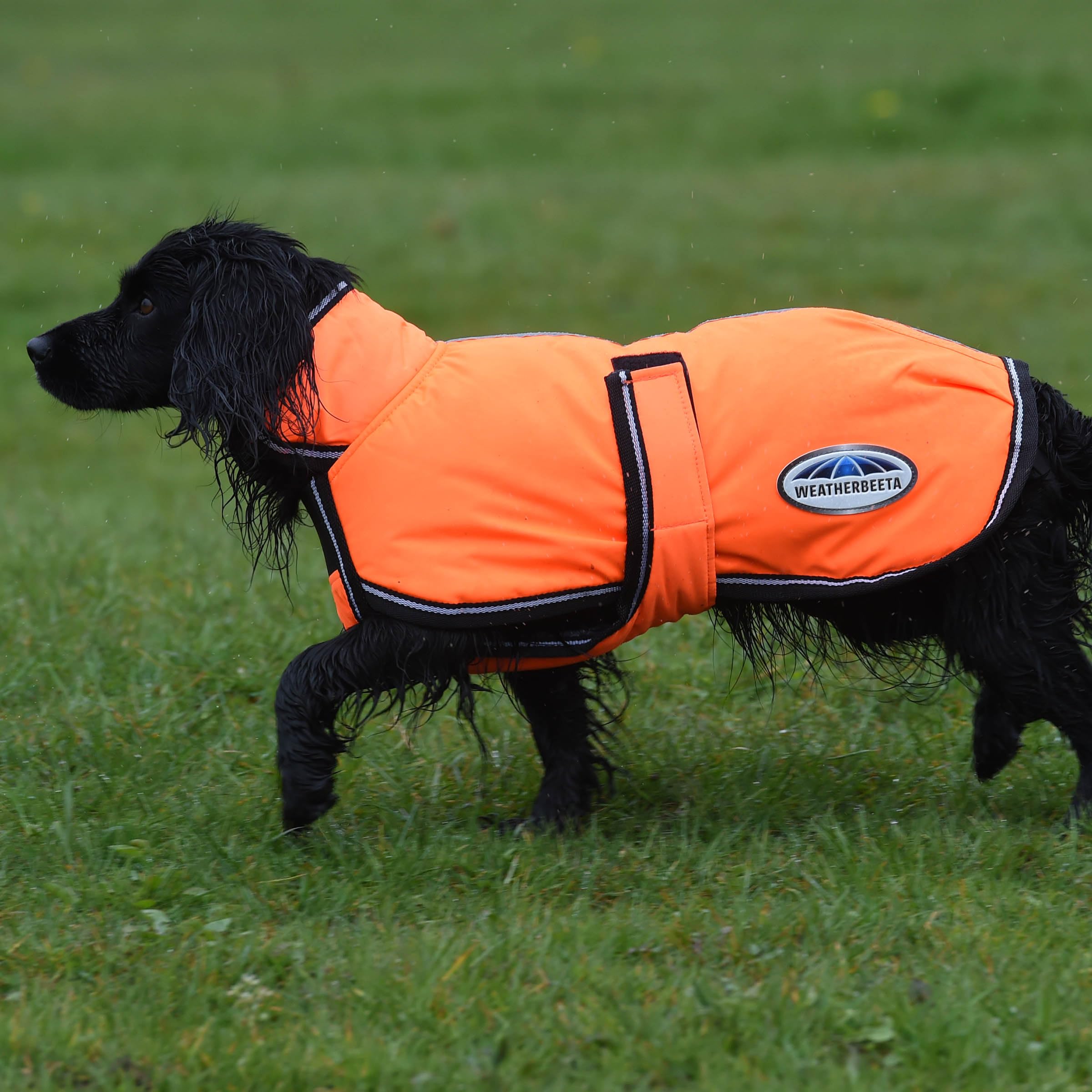 WeatherBeeta ComFiTec Reflective Parka trasera: cobertura completa y ajuste cómodo