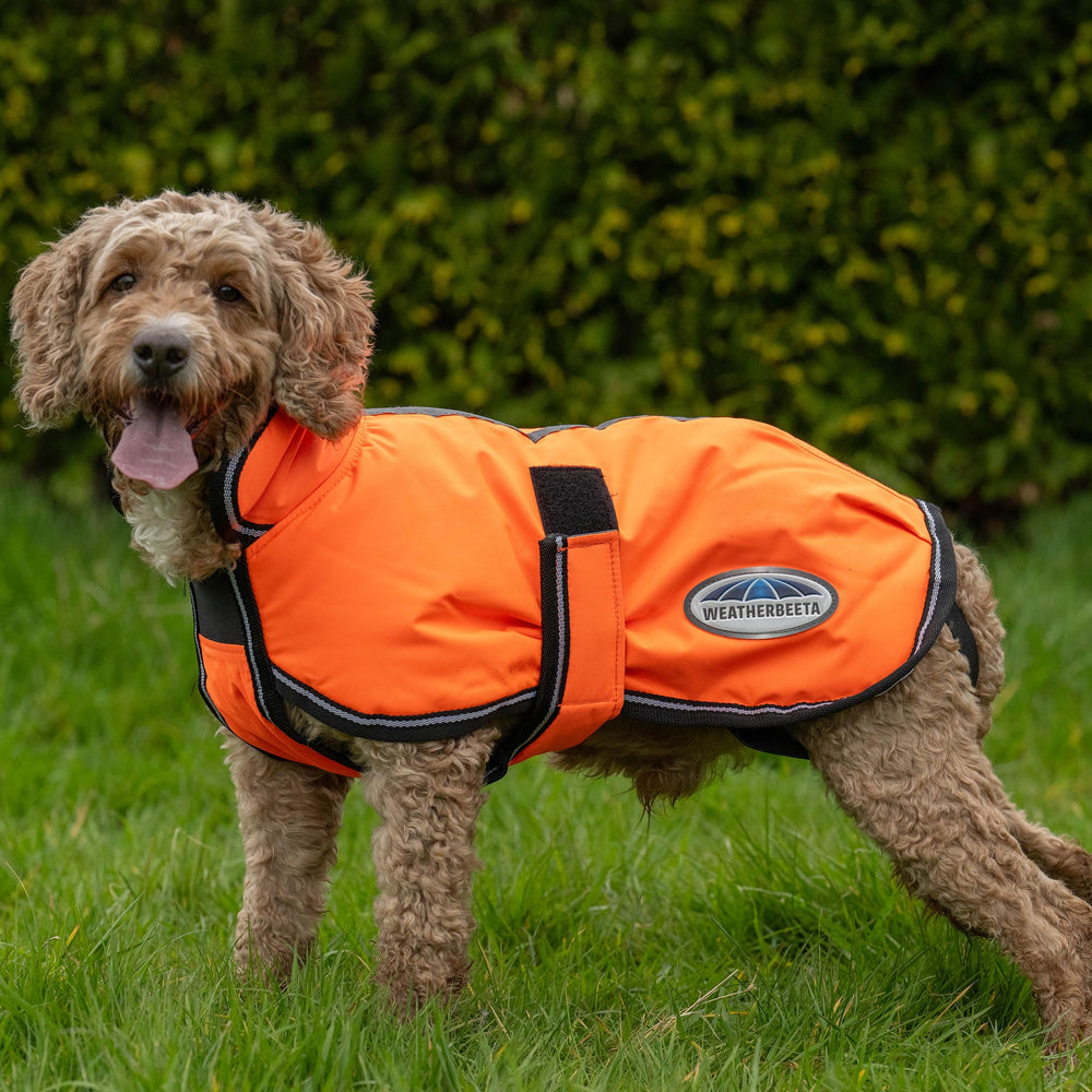 WeatherBeeta ComFiTec Reflective Parka interior cálido: confort para el perro