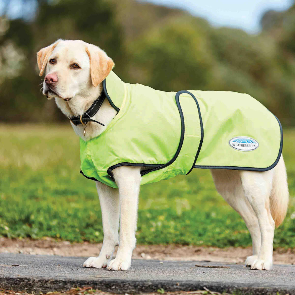 WeatherBeeta ComFiTec Windbreaker 22, abrigo canino con cierre de velcro para ajuste cómodo