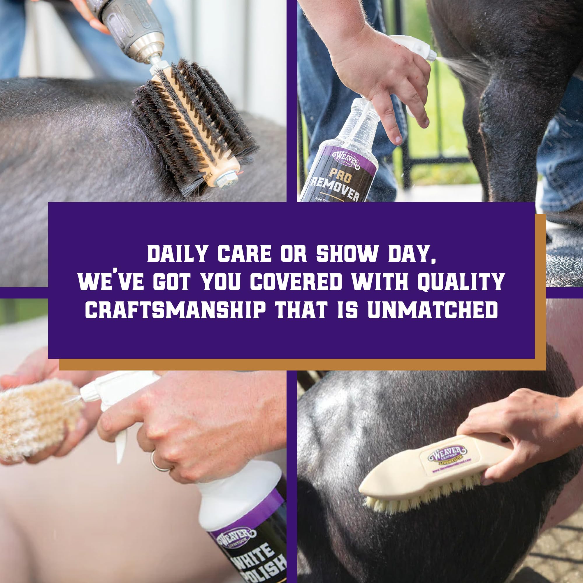 Weaver Livestock ProCharge Reconditioning Liquid ideal para exhibiciones con acabado mostrable