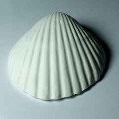 Weco Wonder Shell textura natural de conchas para crear ambiente marino
