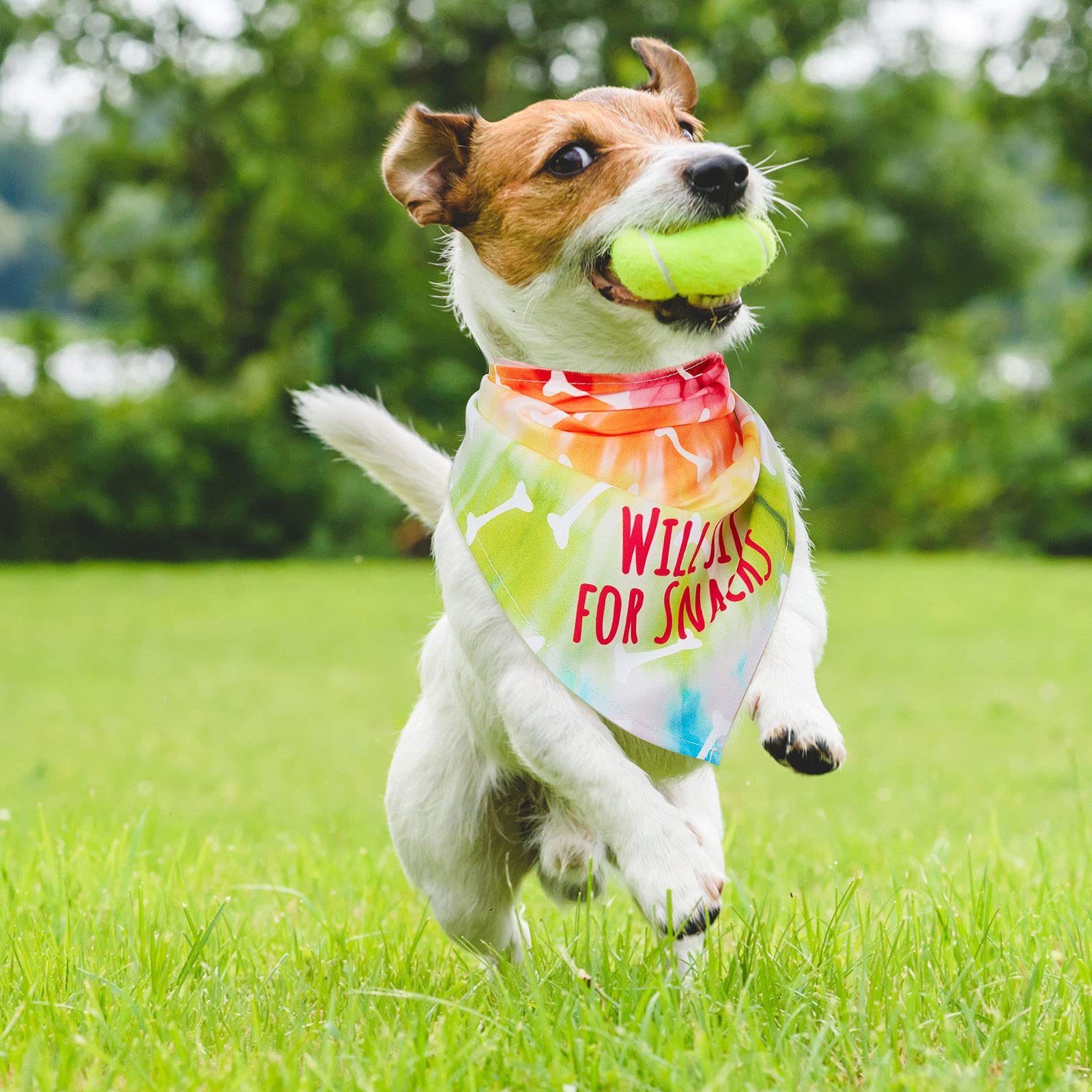 Bandana Weewooday reversible colorido con doble estilo