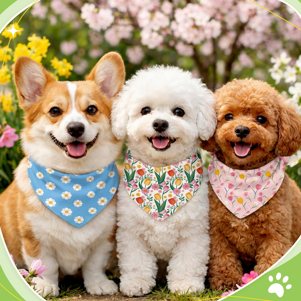 Weewooday bandanas perro motivos florales: colores vivos para salidas diarias.