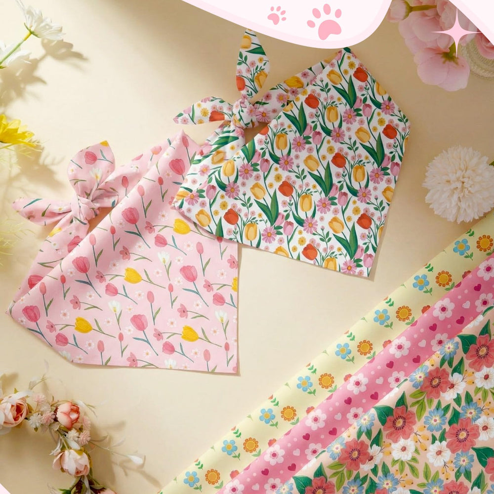 Bandanas Weewooday para paseos y fiestas, colores vivos y vistosos.