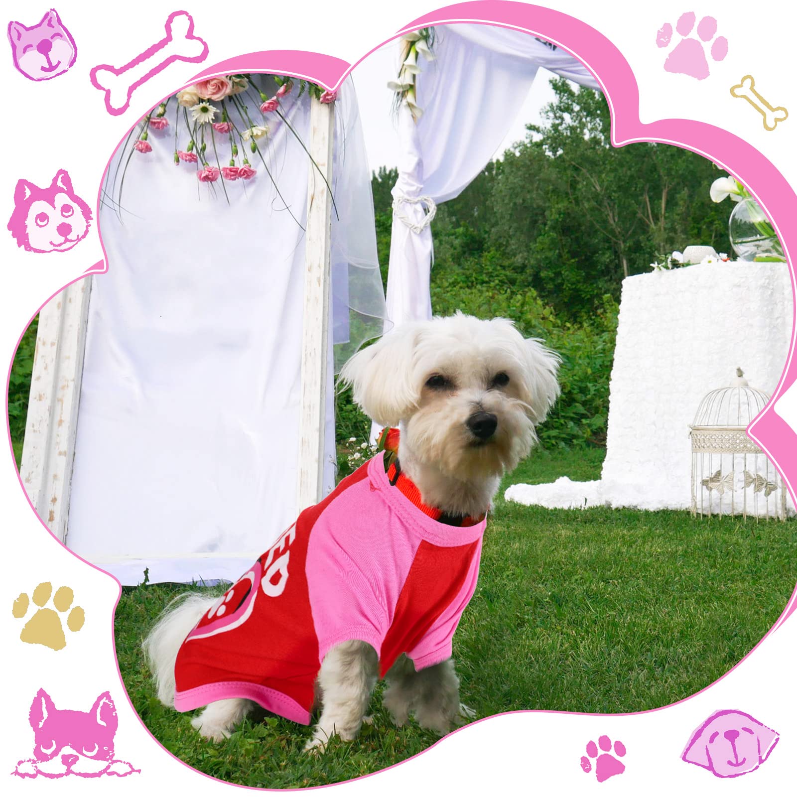 Camiseta Weewooday para perrito, estilo festivo para eventos y viajes.