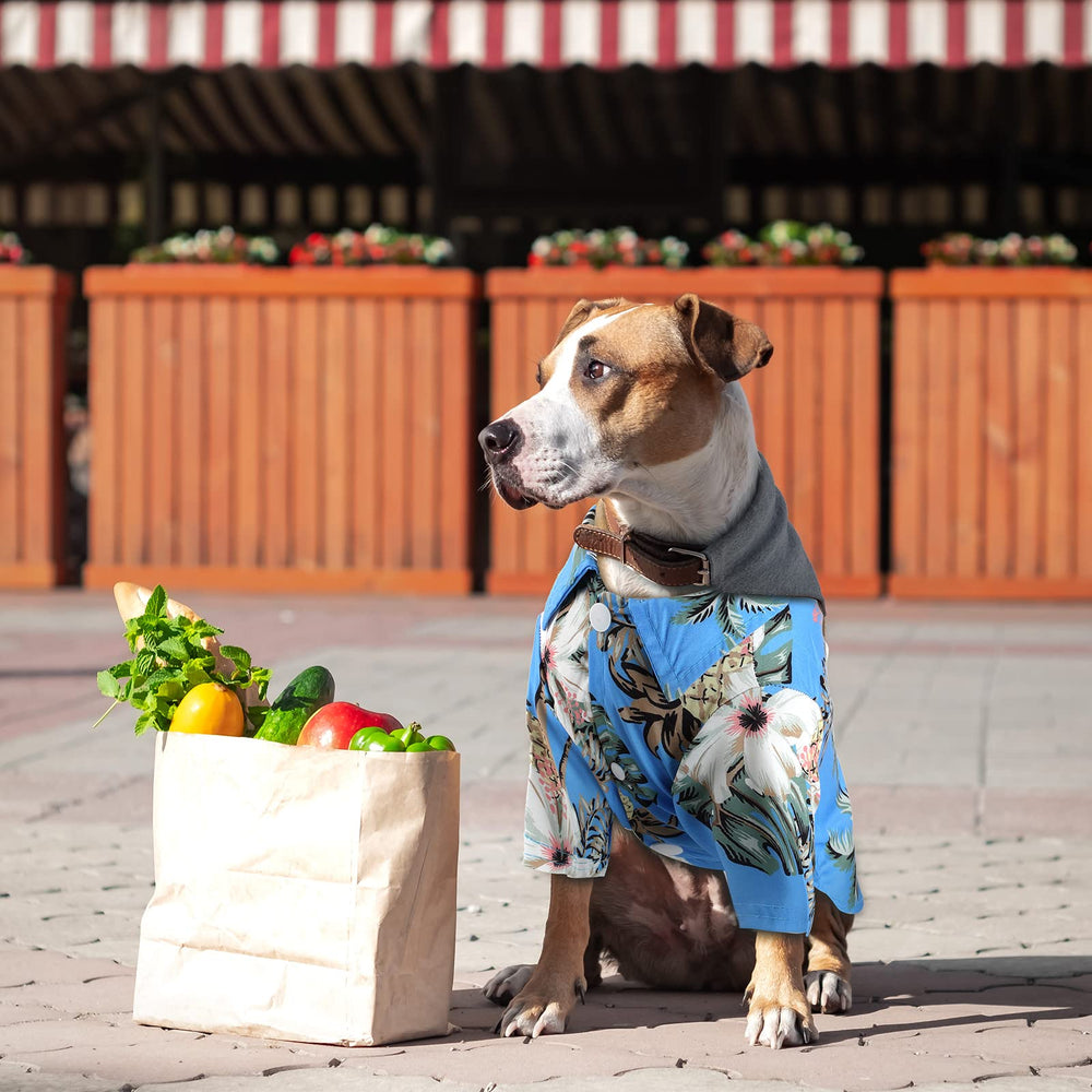Weewooday camiseta hawaiana tela suave para perro, perfecta para días de playa.
