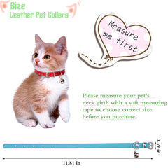 Collar Weewooday para gatos en azul, ajuste cómodo y campana para localización.