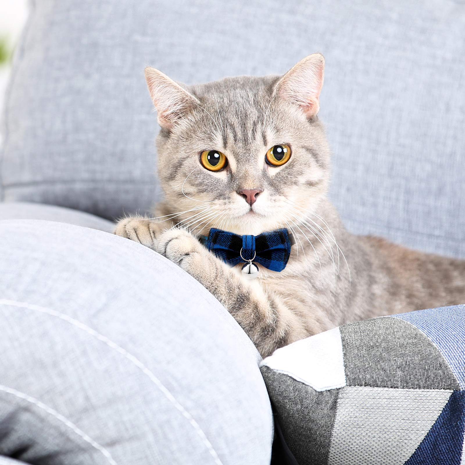 Weewooday collar para gato con hebilla de ruptura para seguridad diaria.