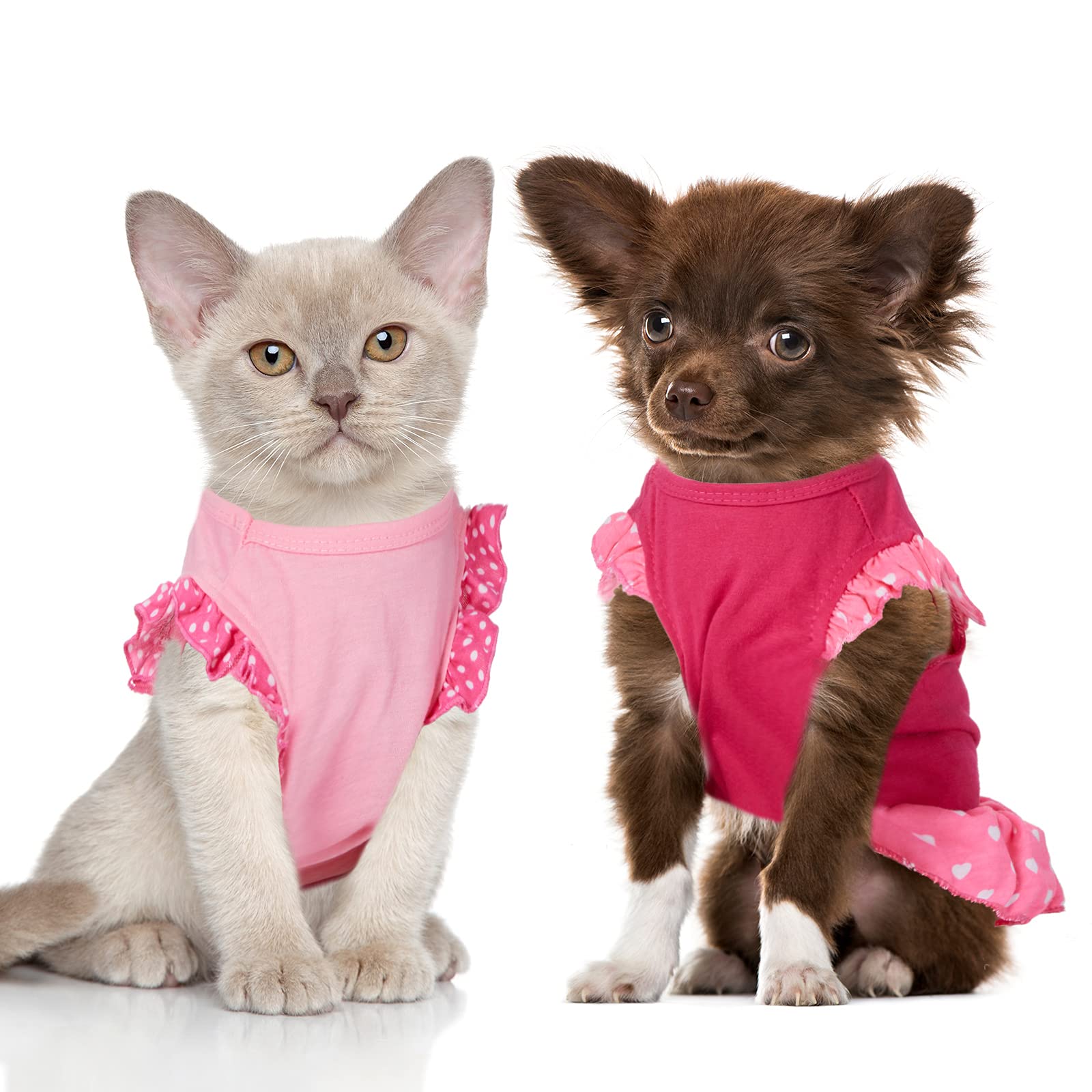 Weewooday conjunto para perrito, perfecto para sesiones de fotos y celebraciones.