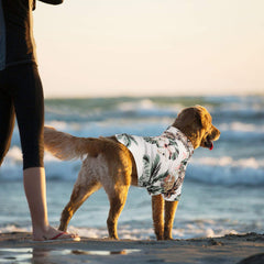Weewooday haut estival turquoise fleuri, garde votre chien frais en été.