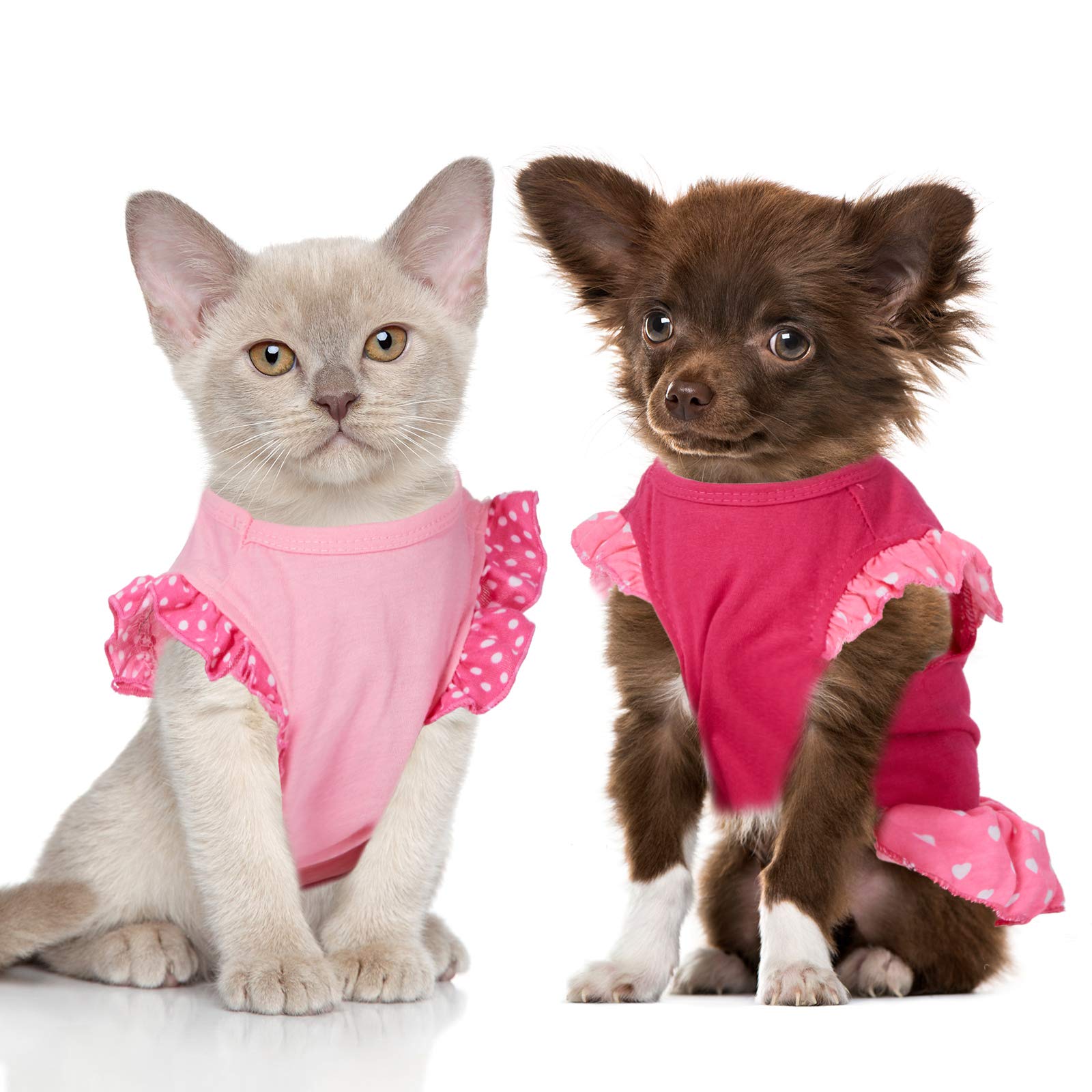 Weewooday Love Angel, outfit diario para mascotas, ideal para fiestas.