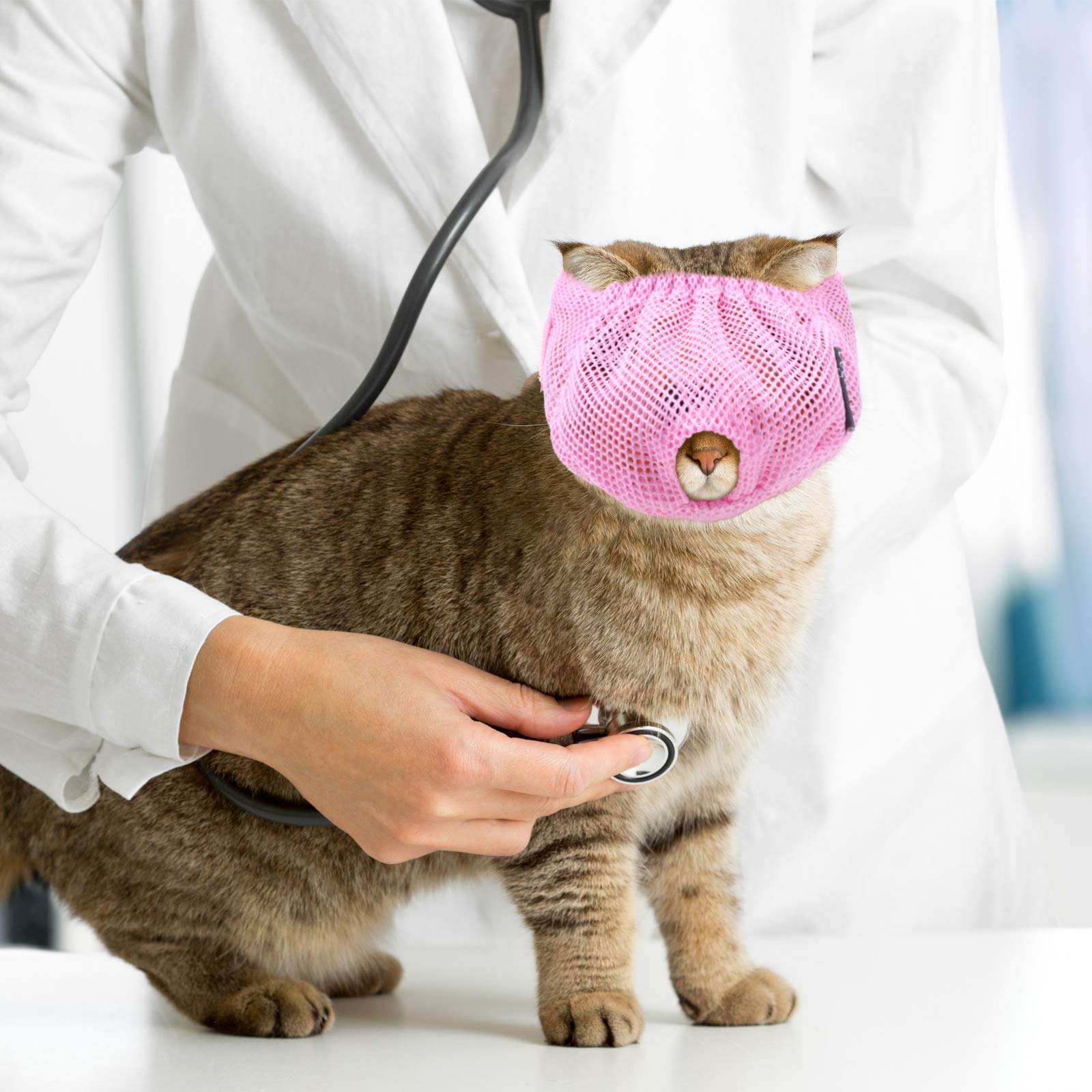 Weewooday mordaza para gatos, ideal para paseos diarios y tranquilidad.