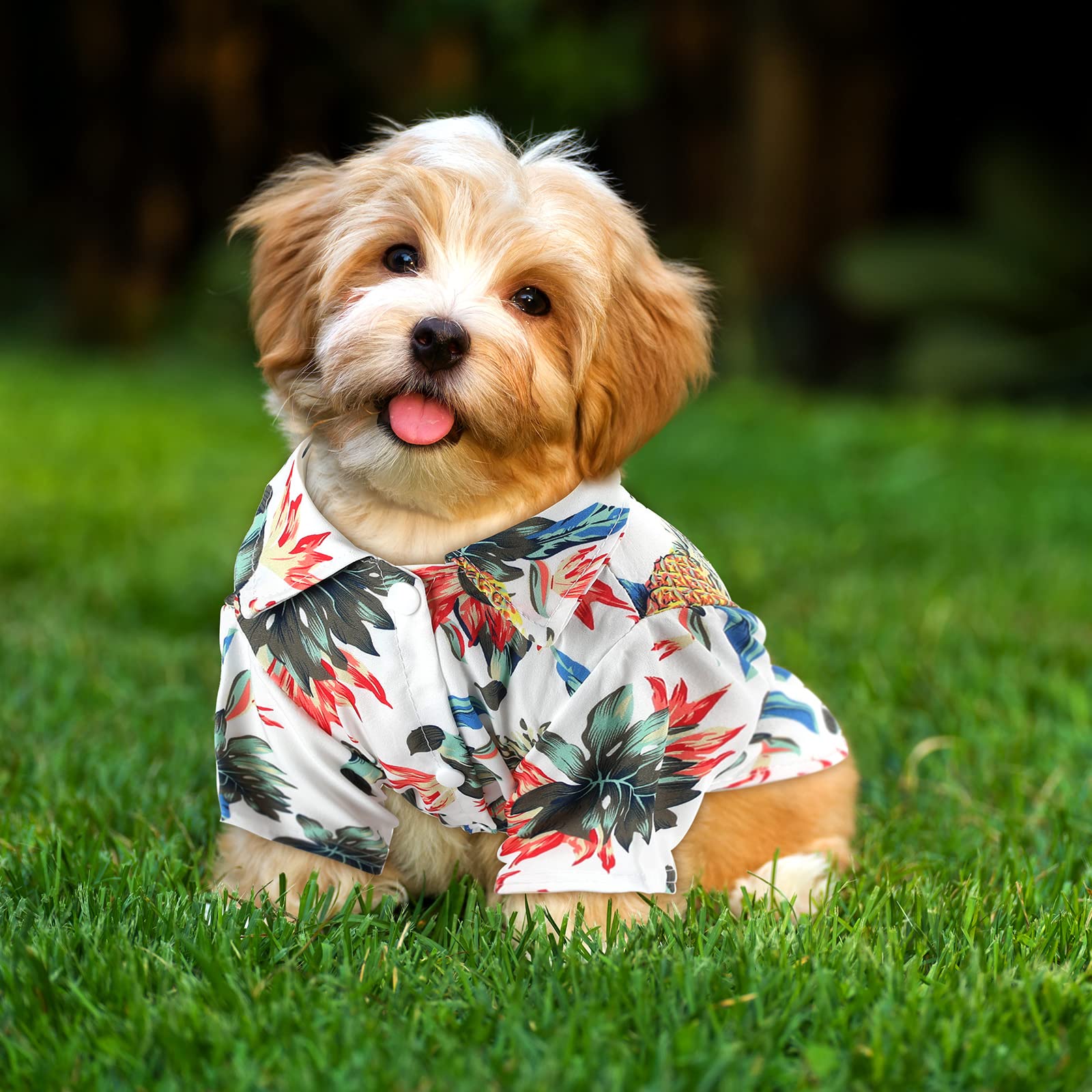 Weewooday t-shirt chien Hawaii ensemble été, pratique et confortable à enfiler.