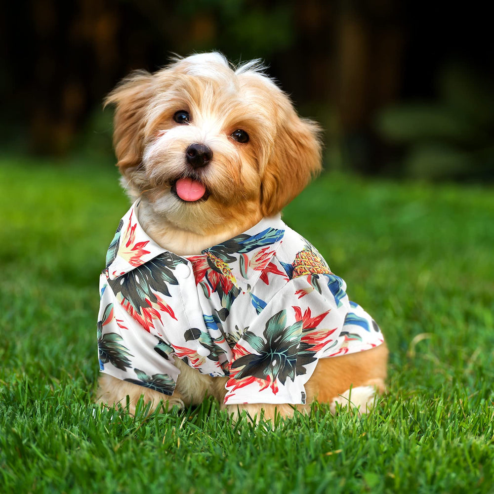 Weewooday t-shirt chien Hawaii ensemble été, pratique et confortable à enfiler.