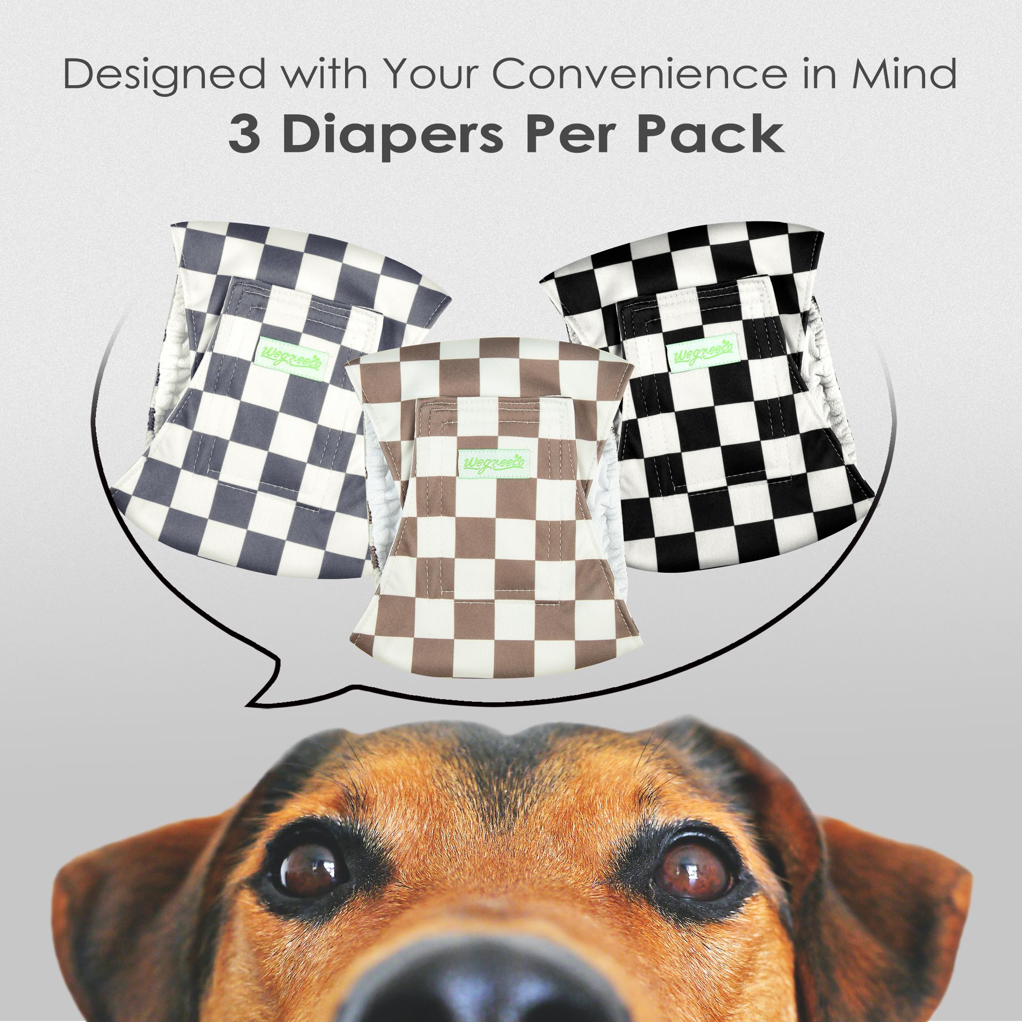 Bandita Wegreeco para perro macho, estampado gris, ideal para entrenamiento.