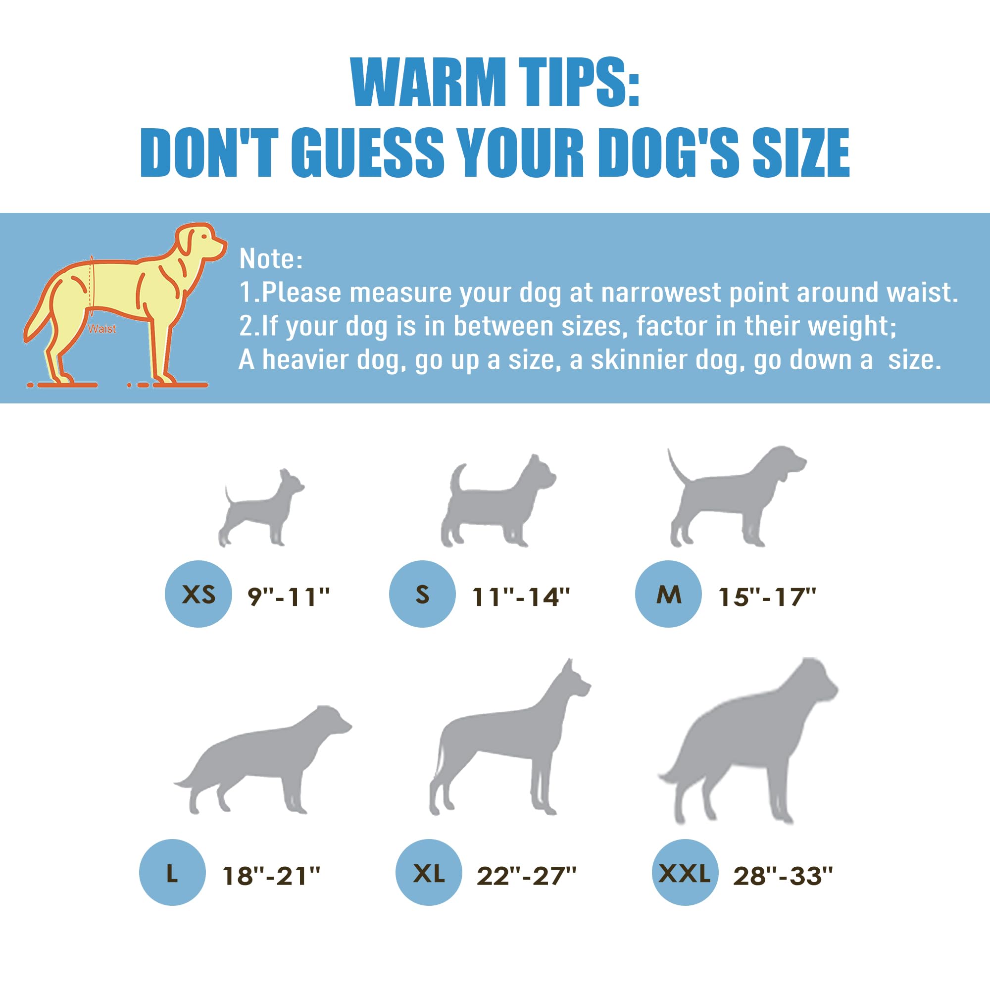 Capa externa impermeable Wegreeco para pañales de perro macho