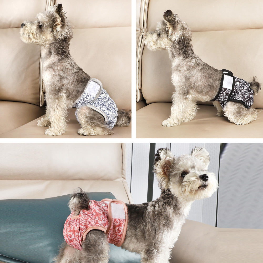 Wegreeco couche-chien confort doux idéal pour usage quotidien