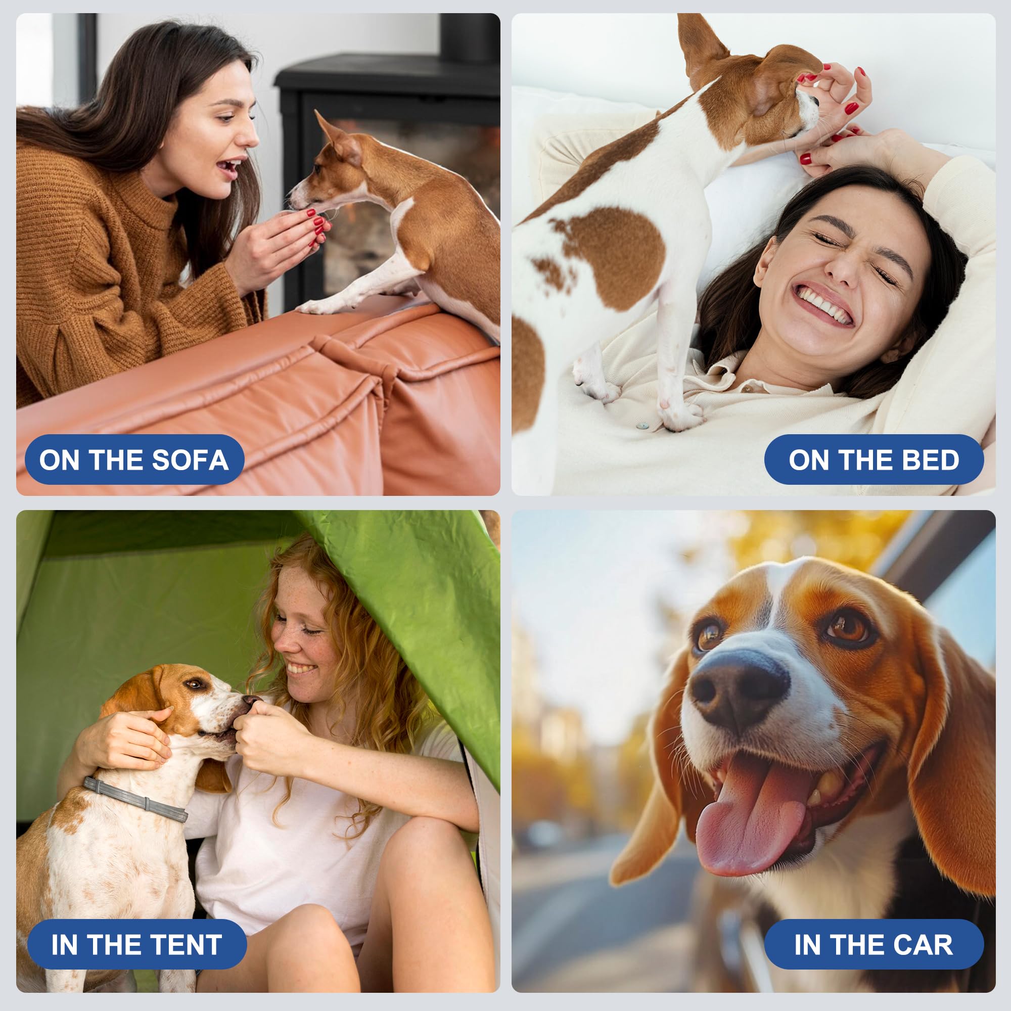 Protección exterior impermeable Wegreeco para perro macho en viajes y paseos.