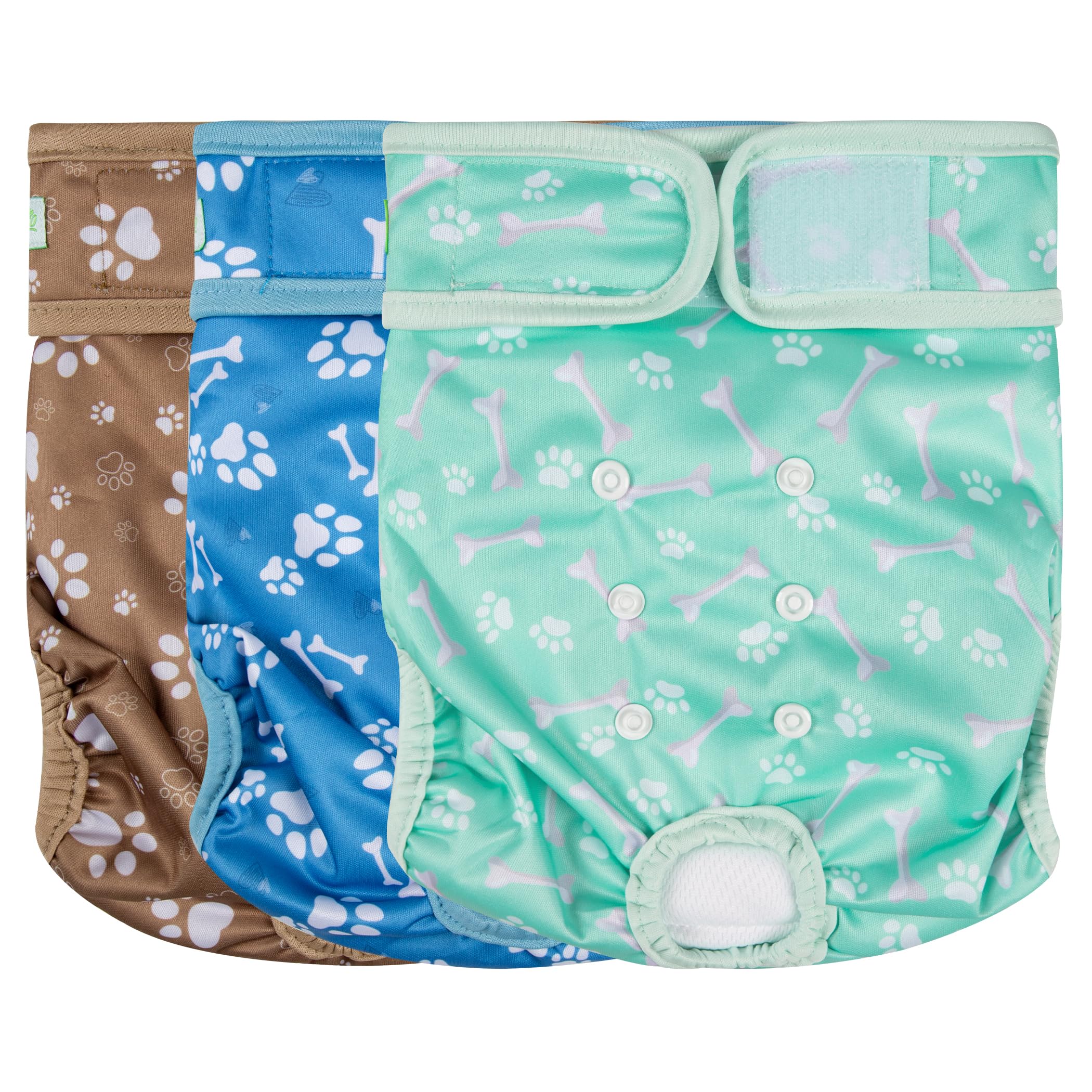 Pañales Wegreeco reutilizables absorbentes verde con diseño de hueso para perras en celo.