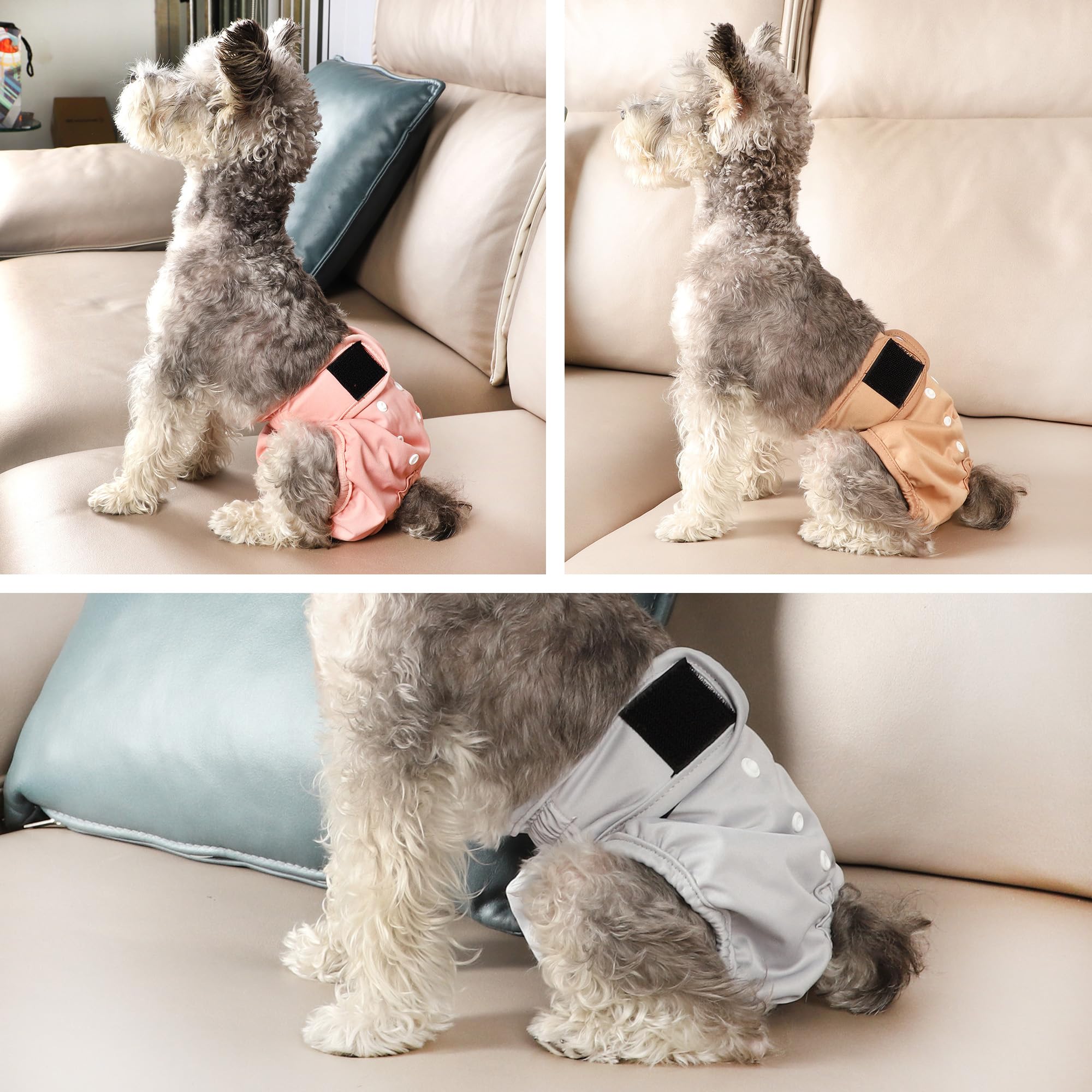 Pañales Wegreeco en colores elegantes para perros en celo