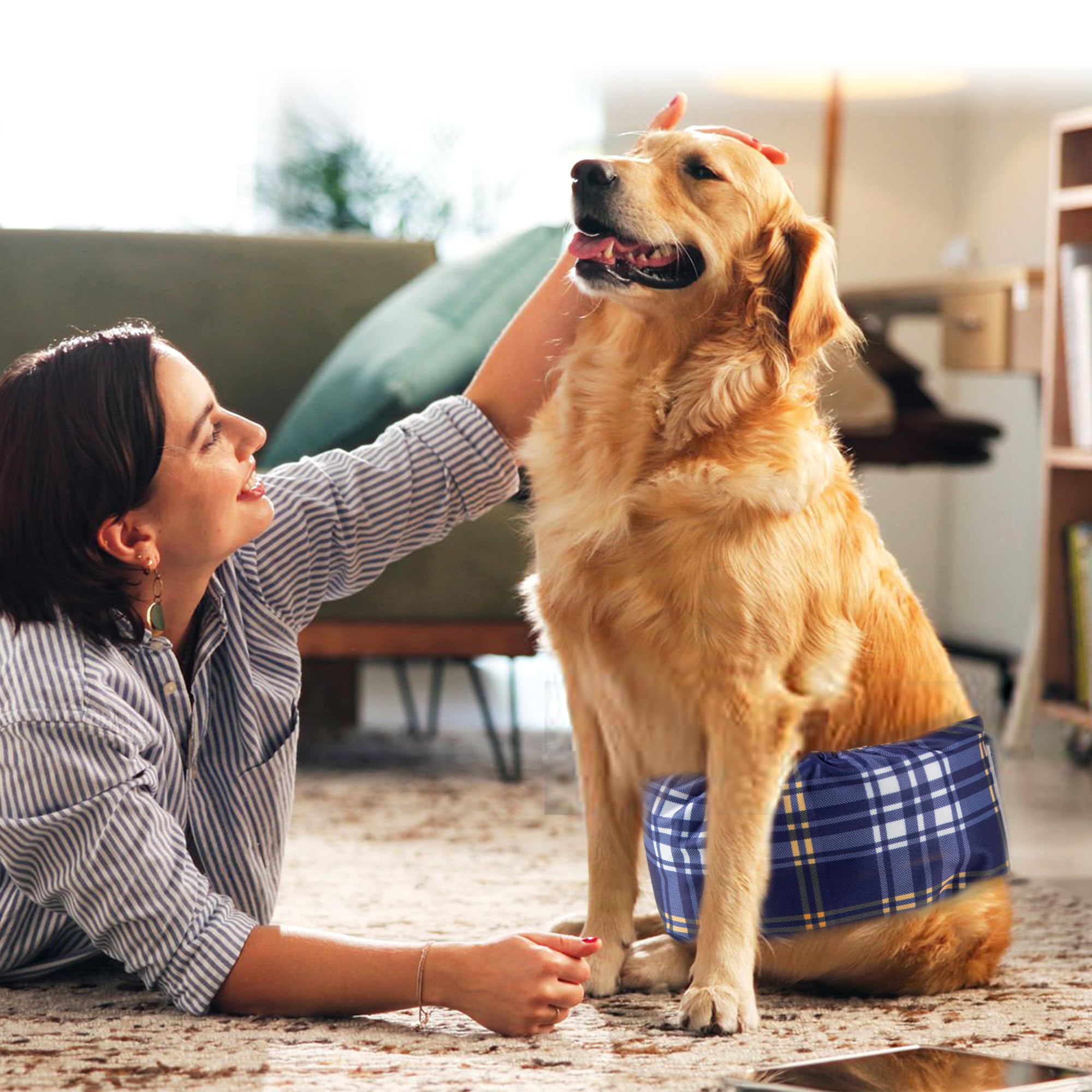 Pañales reutilizables Wegreeco para perros machos y menos residuos.
