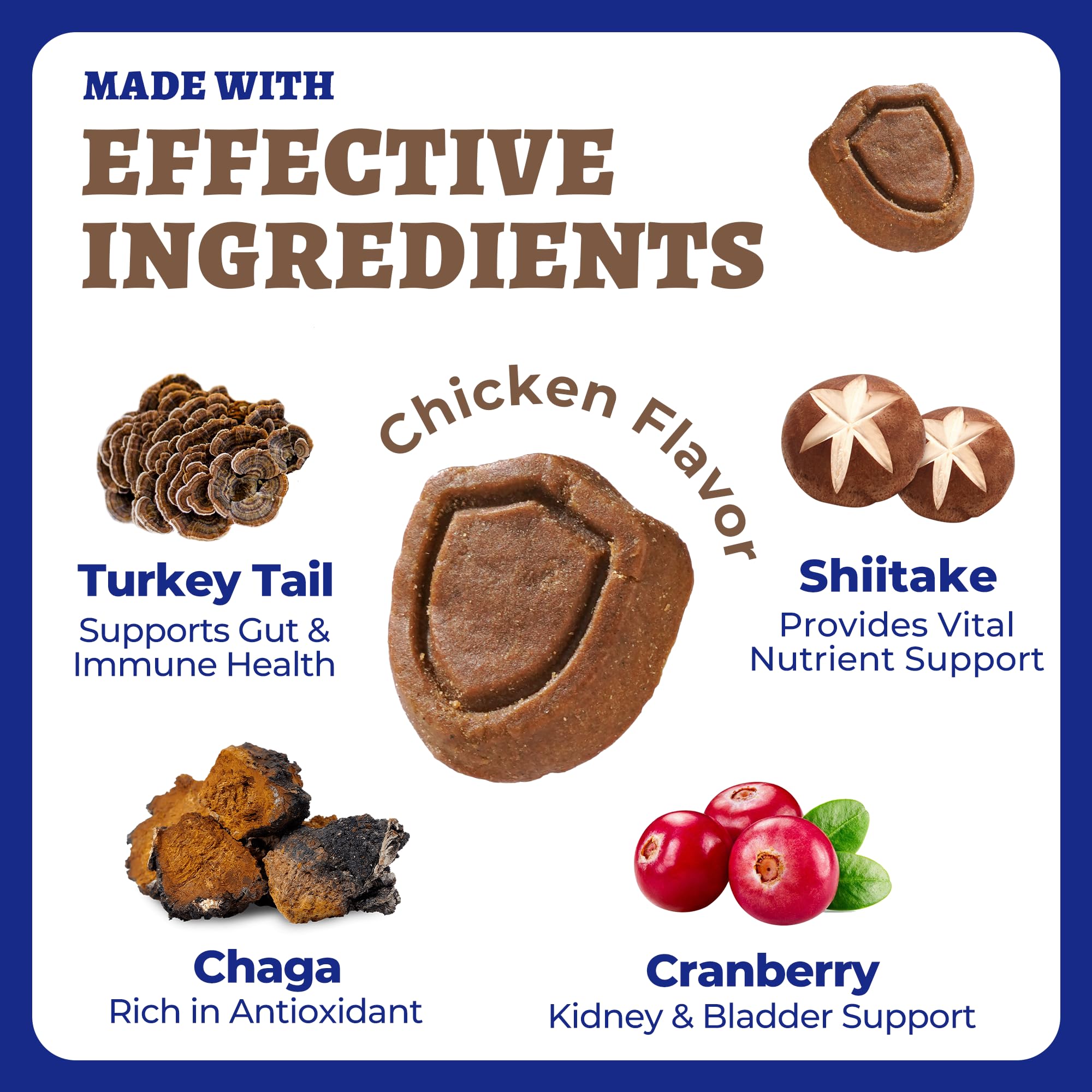 Wellix 260 Bites Chaga para Perros, antioxidantes naturales.