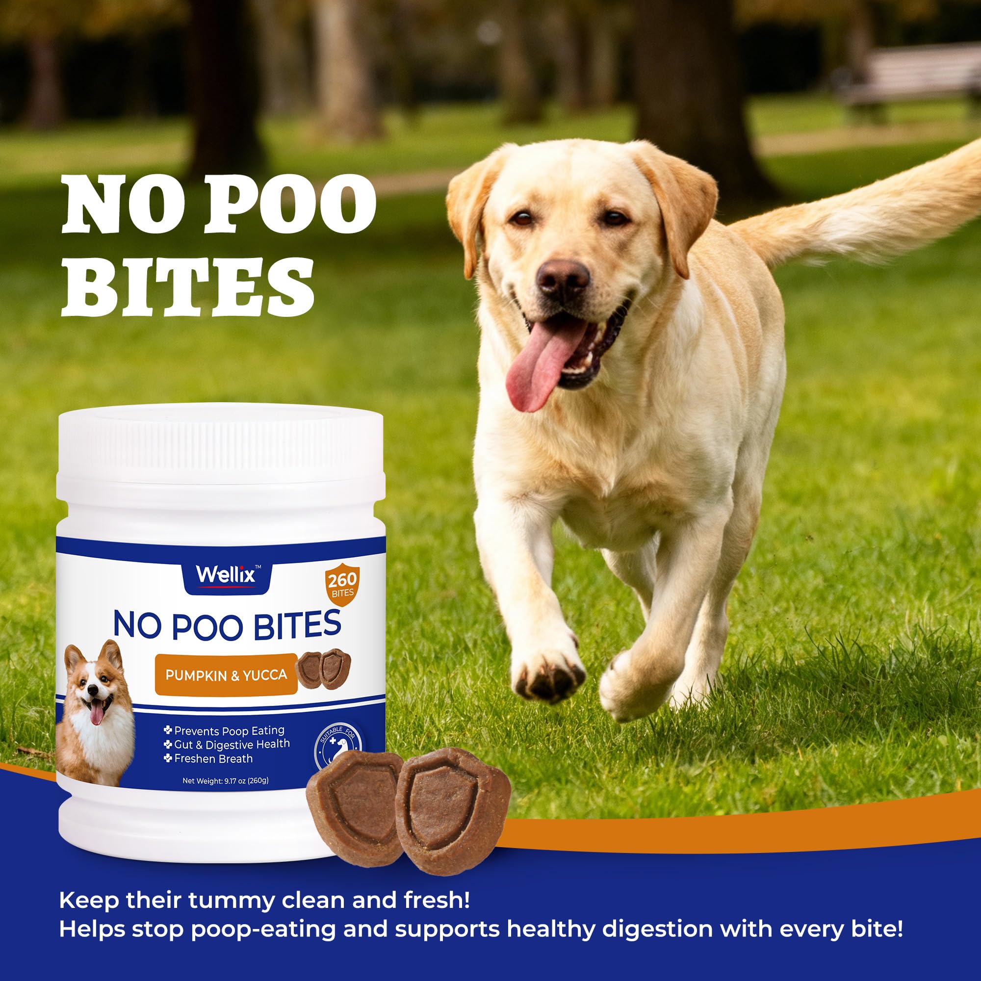 Wellix 260 Bites large pack ideal for multi-pet homes.