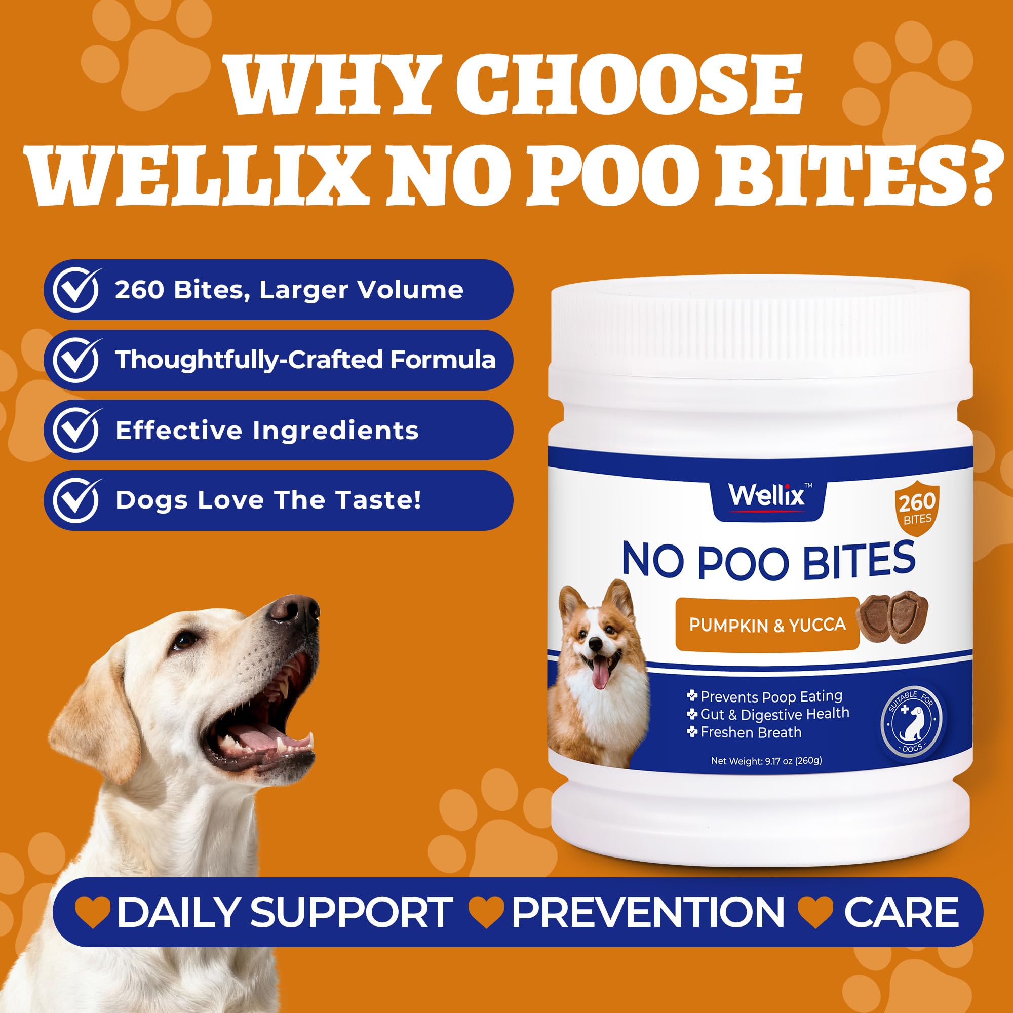 Wellix 260 Bites includes probiotics and enzymes for gut balance.