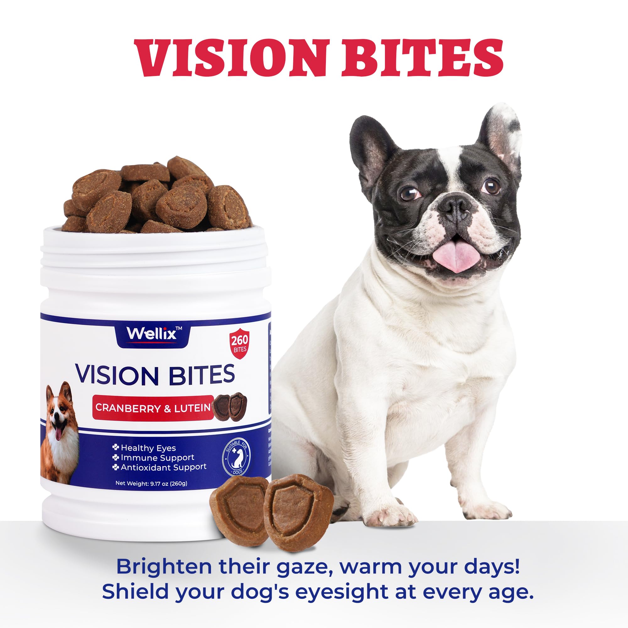 Wellix para perros mayores: beneficios potenciales para claridad visual