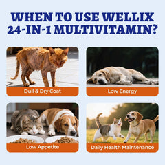 Wellix arándano rojo y zinc para inmunidad y digestión saludable.