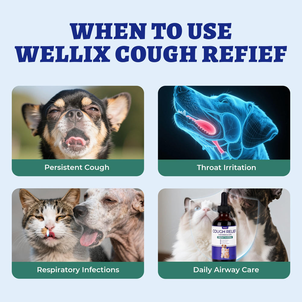 Wellix capacidad-grande-120ml, ahorro y tratamiento constante para mascotas.