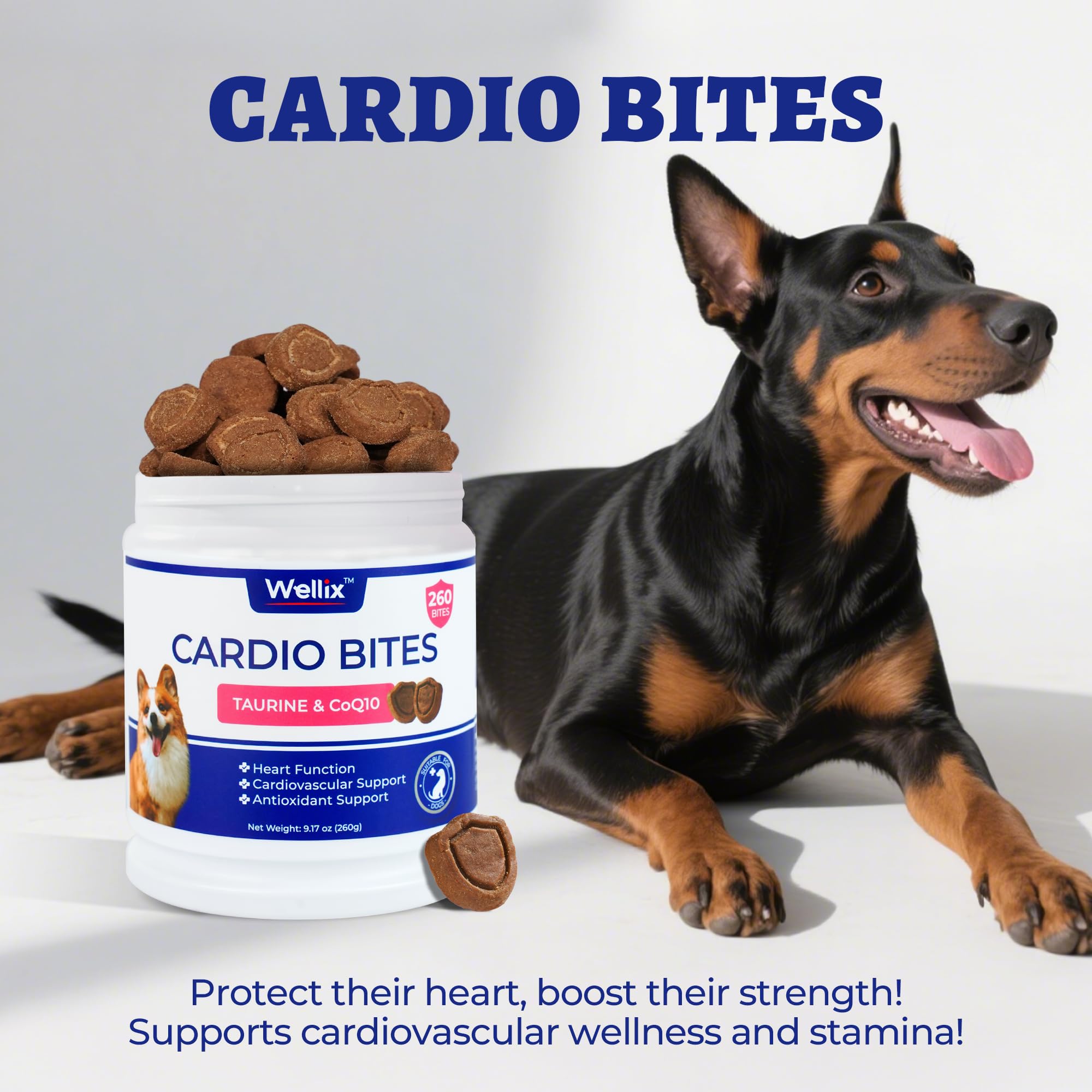 Wellix Cardio Bites cuenco, golosinas sabrosas y fáciles de administrar.