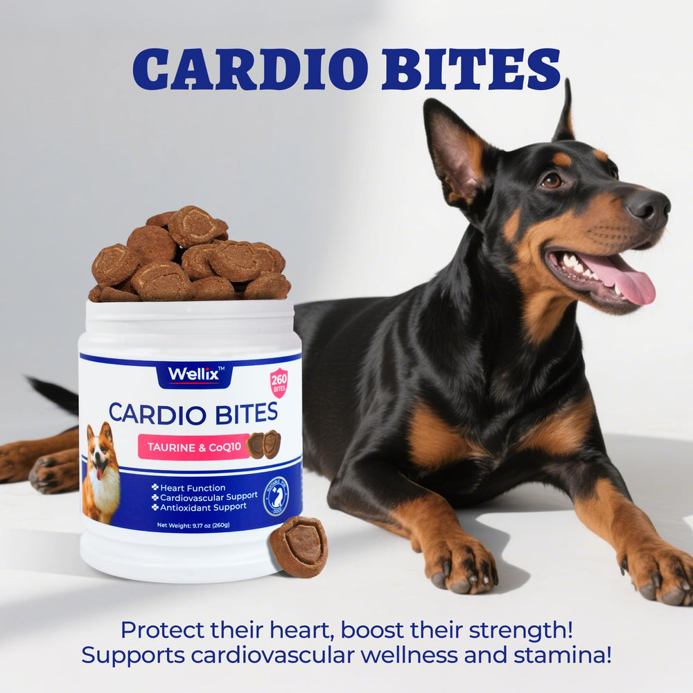 Wellix Cardio Bites cuenco, golosinas sabrosas y fáciles de administrar.