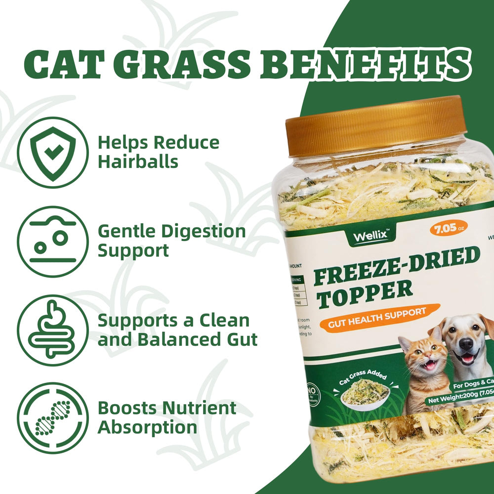 Gato come Wellix topping sobre kibble para mayor sabor y aceptación
