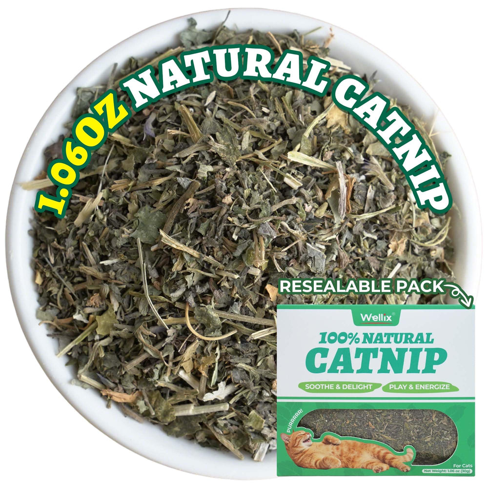 Wellix Hierba Gatera: hojas, flores y tallos con aroma natural para estimular juego del gato.
