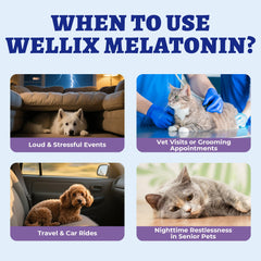 Relajación para visitas al veterinario con Wellix melatonina líquida.