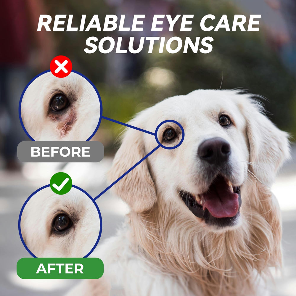 Wellix para perros y gatos, cuidado ocular práctico
