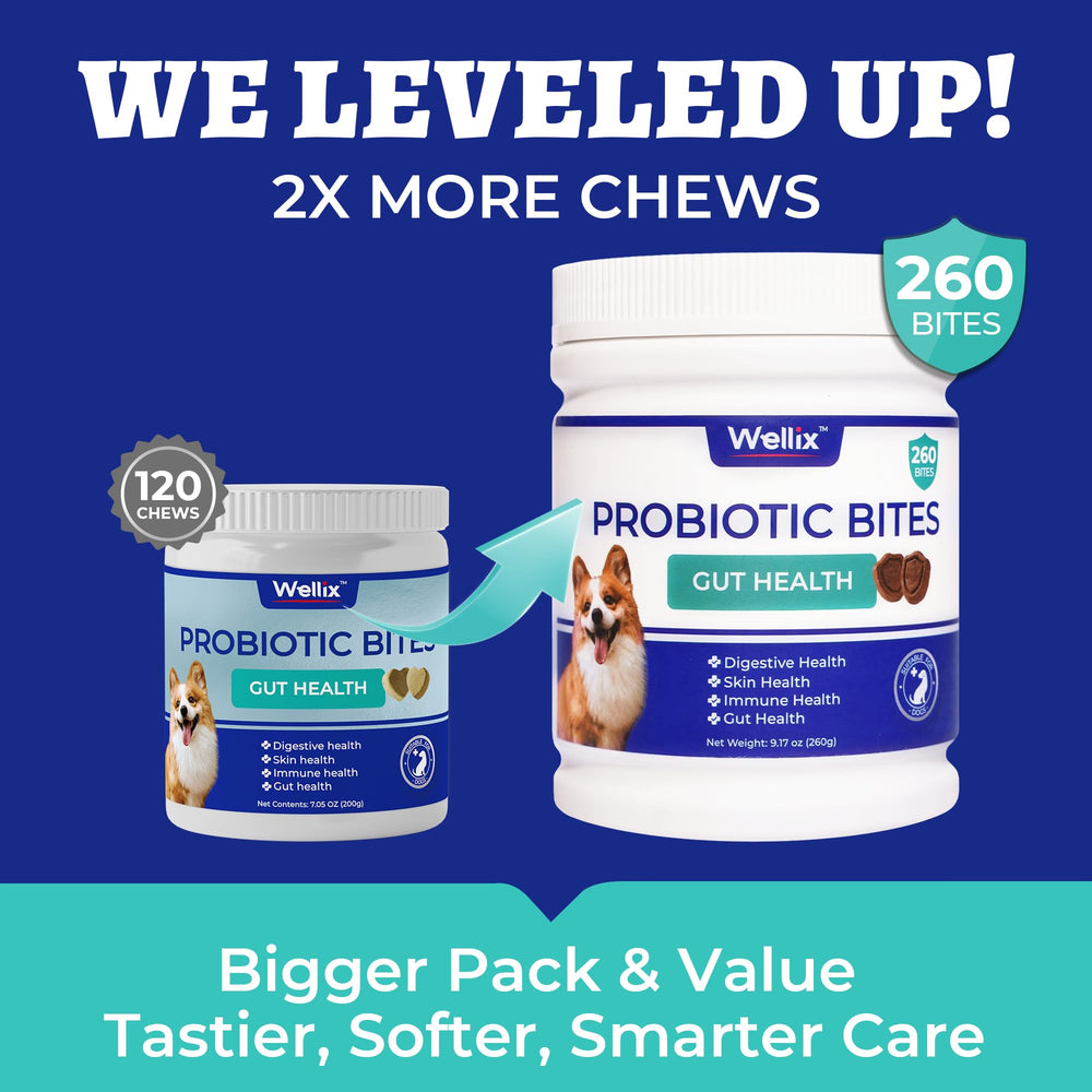 Perro disfrutando masticable Wellix, apoyo digestivo