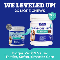 Perro disfrutando masticable Wellix, apoyo digestivo