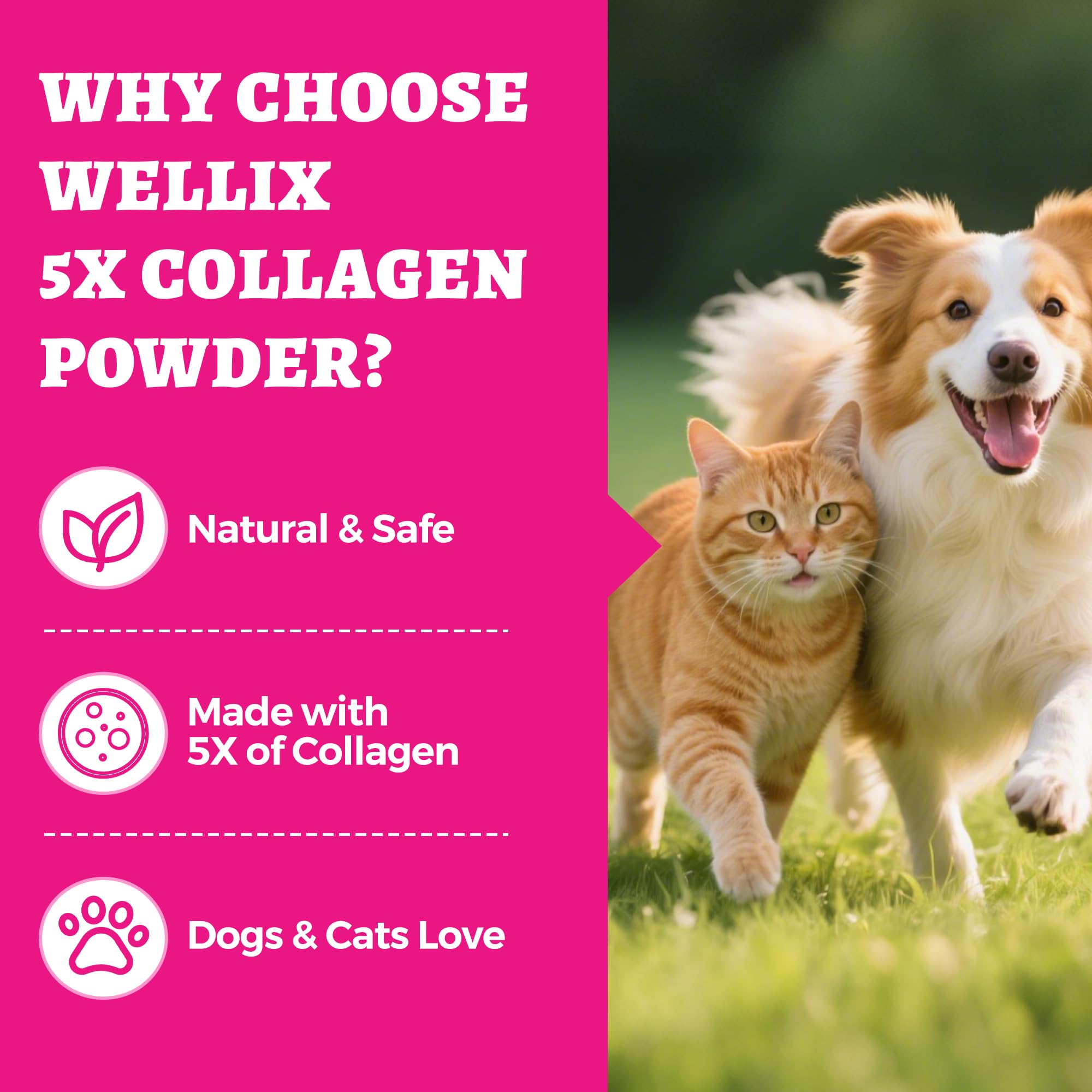 Wellix polvo colágeno natural, mezclar con comida para dosis diaria.