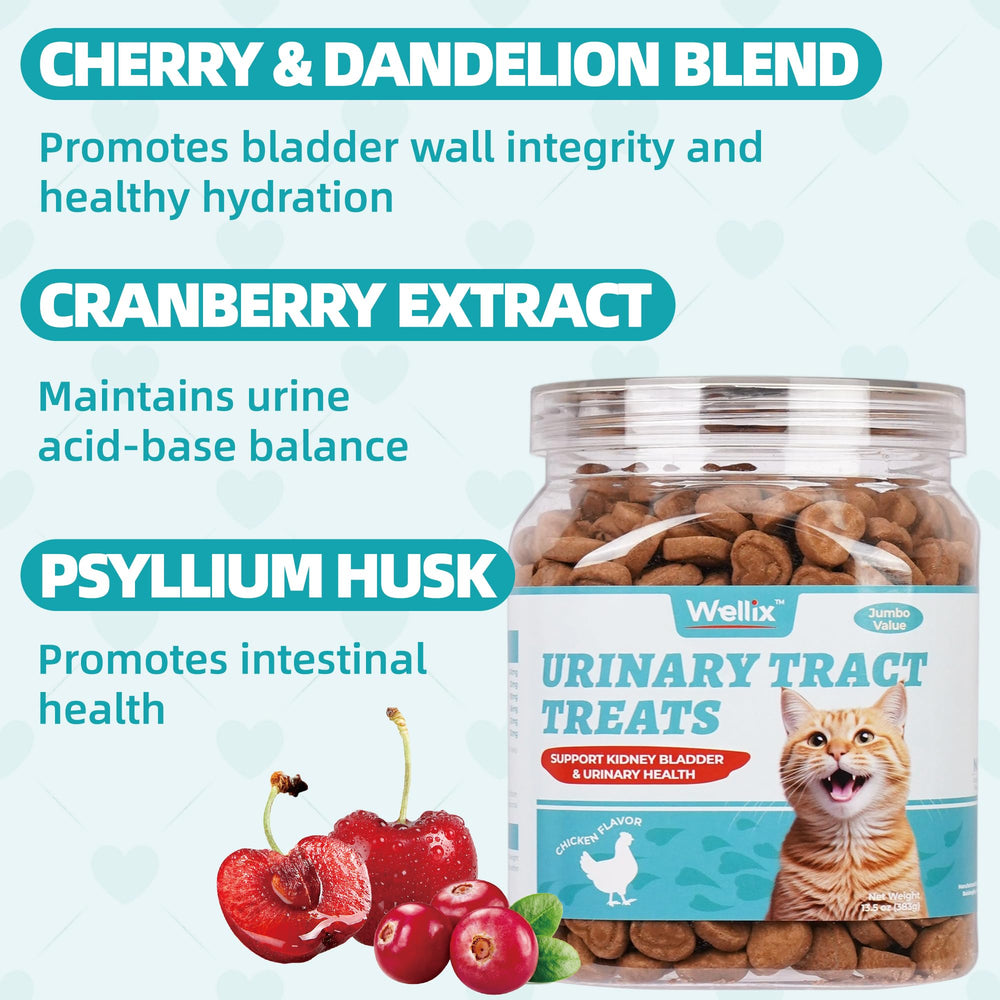 Wellix snacks para gatos, ingredientes naturales como arándano y diente de león