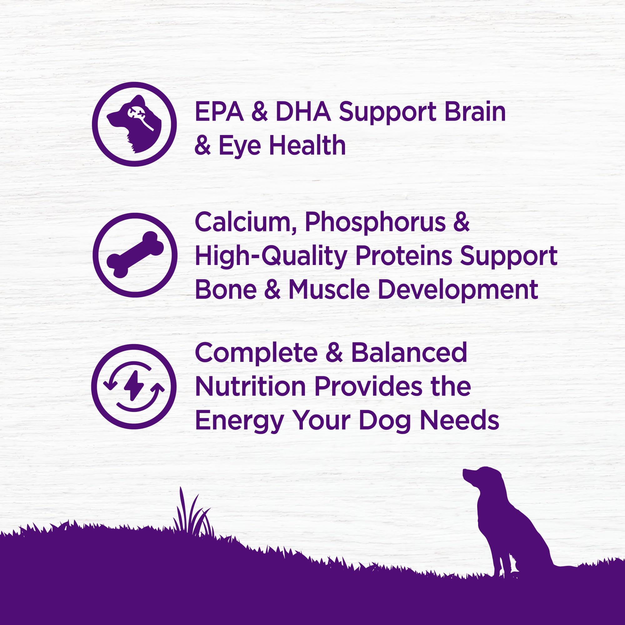 Wellness Aceite de salmón DHA, apoya desarrollo cerebral.