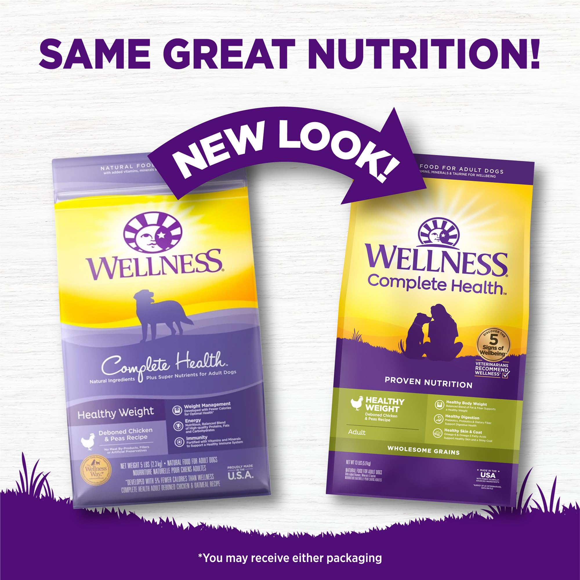 Kibble crujiente de Wellness Complete Health para masticar con satisfacción.