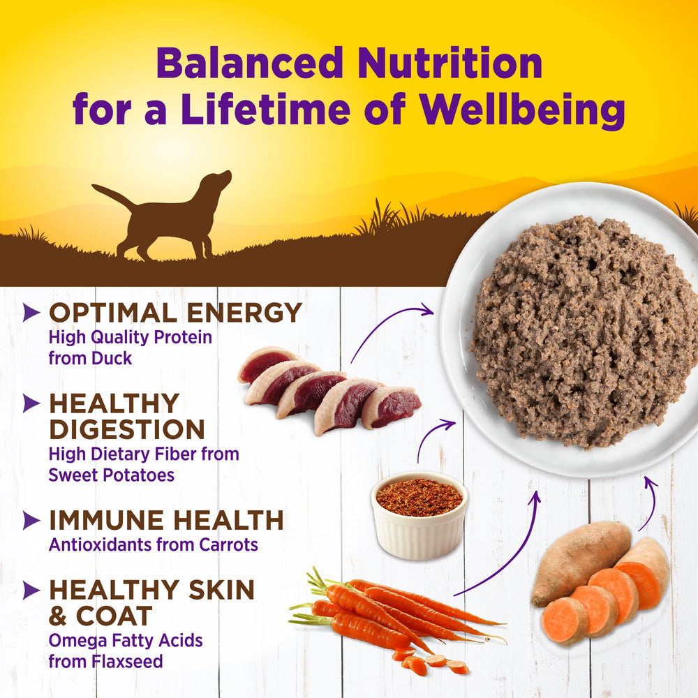 Apoyo al sistema inmunitario y piel sana con Wellness.