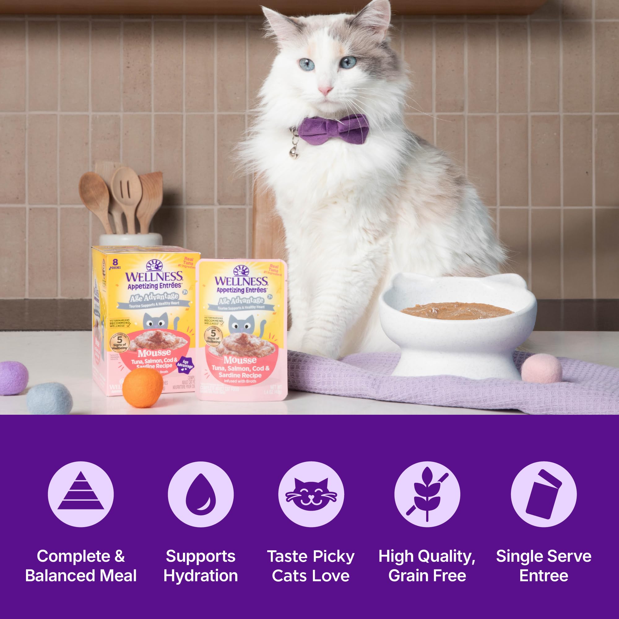 Wellness Appetizing Entrées Age Advantage mousse con salmón, textura sabrosa para felinos.